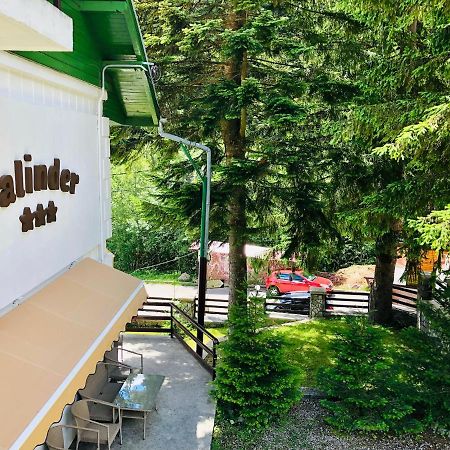 Pensiune & Restaurant Kalinder Buşteni 外观 照片