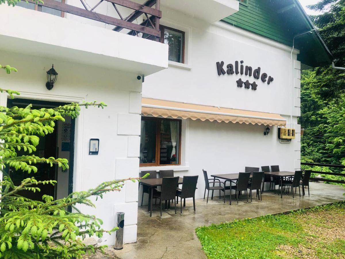 Pensiune & Restaurant Kalinder Buşteni 外观 照片