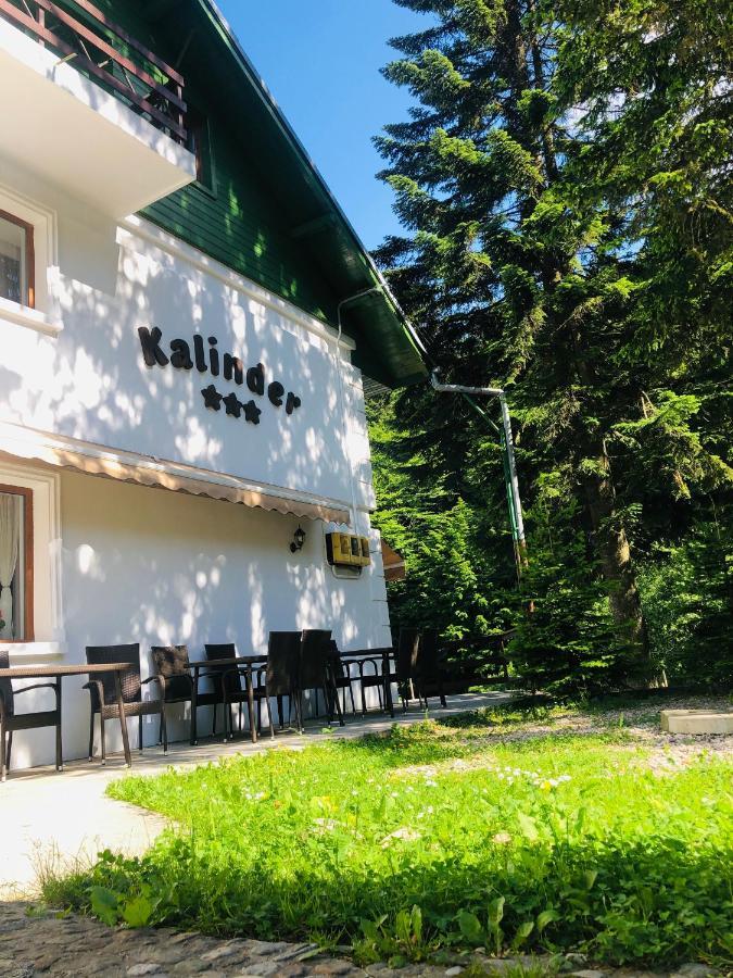 Pensiune & Restaurant Kalinder Buşteni 外观 照片