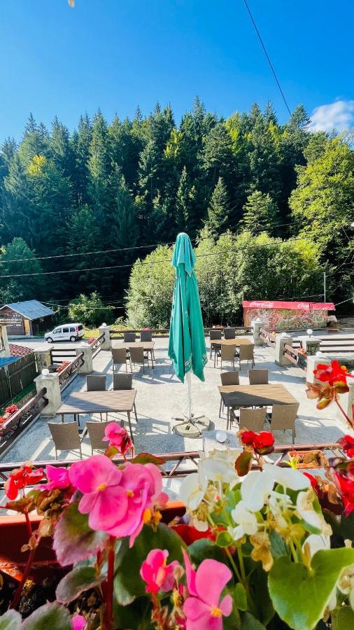 Pensiune & Restaurant Kalinder Buşteni 外观 照片